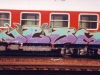 verm11
