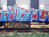 verm2
