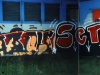 picussete