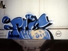 pisusa