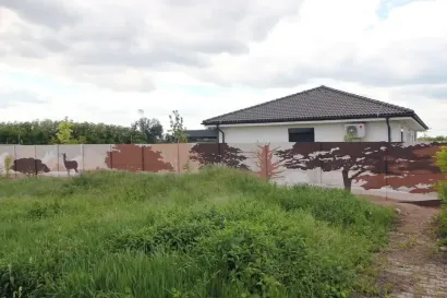 malba-na-betonovy-plot-8