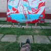 Blesk SMS street 2014-2016