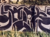 chlor9