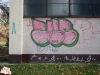 zilina7