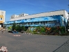 p9251595