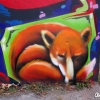 Graffiti Jam - Trnava 2016