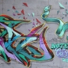Graffiti Košice Erik Oar