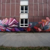 Maľby na stenu, Bratislava