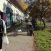 Košice Speshin graffiti jam 2015