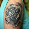 Laco Animo Aerosoul Tatoo
