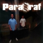 paragraf_demo