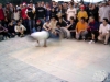 20_1