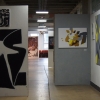Veľka Streetart výstava 2018: Spoza rohu