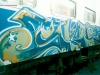 skarz