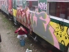 wels06