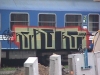 asrasrasr