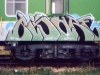 bisare