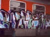 verm
