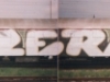 wt